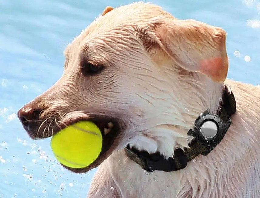 Apple AirTag IP67 rated Dog or Cat collar holder